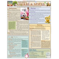 Chef's Guide to Herbs & Spices- Laminated 2-Panel Info Guide
